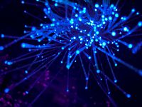 Sistemas Microinformáticos y Redes